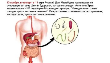 Школа Здоровья